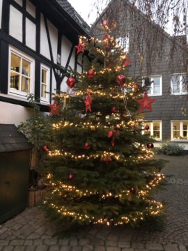 Baum in der Freiheit, Volker und Sabine Sabel